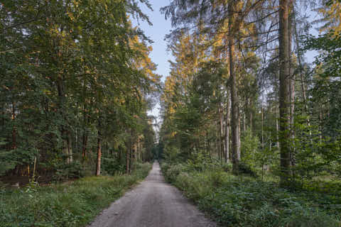 Gemeinde Altötting Landkreis Altötting Forst Alte Poststraße Innradweg (Dirschl Johann) Deutschland AÖ